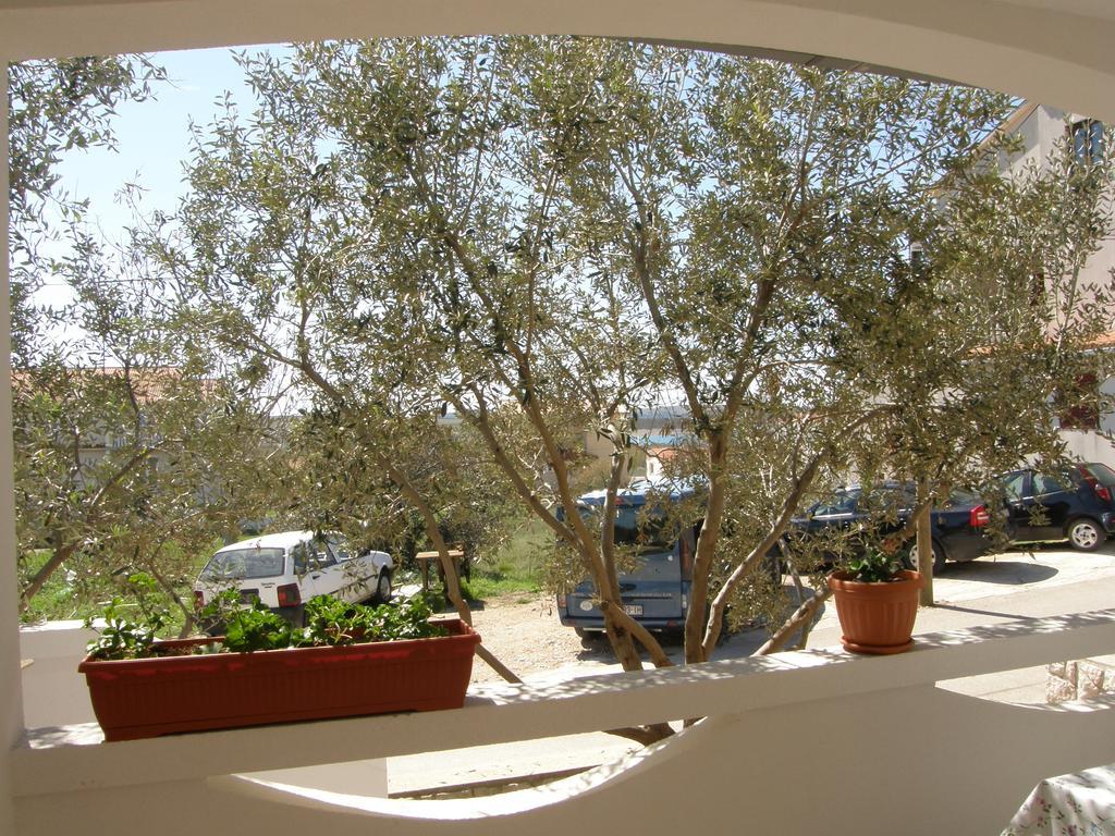 Apartments Marino Повляна Экстерьер фото